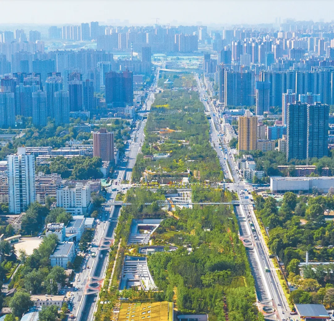 幸福林带全景展示城市绿肺